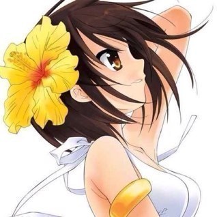 Hi my name is kaiko im 16 im very nice i love being the trees im half demon and half human and i have no family and my best friends are jimmy kudo and kaito kid