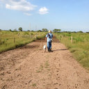 bernardo cepeda - @Bernardocepeda - Twitter