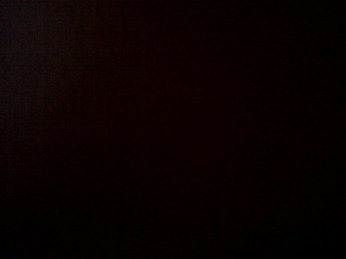 springfield193's profile picture. Unicorn Wrangler, Cookie Clicker addict, Twitter watcher .... there are days when you shock me twitter.... me and my unicorns