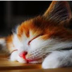 sarhanah's profile picture. I loVe tHe wAY u R...