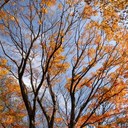 George Every - @GeorgeEvery - Twitter