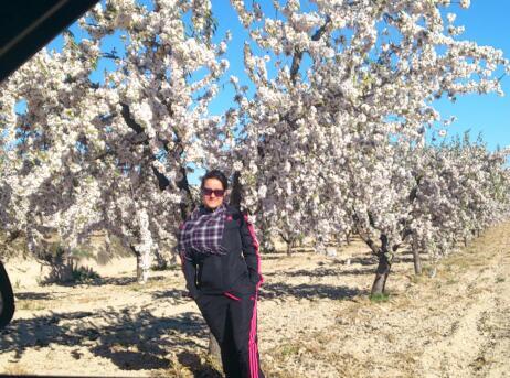 Hadadelsol7's profile picture. 