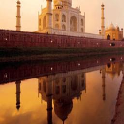 tajmahaltrip's profile picture. We strategically plan the agra tours giving complete travel solutions and services.