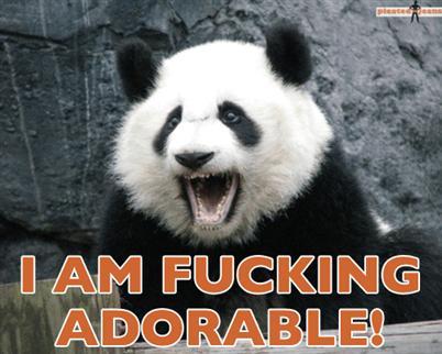 WWFC24's profile picture. 