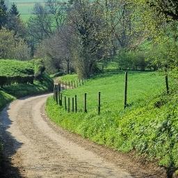 limburguitjes's profile picture. 