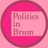 politicsinbrum retweeted this