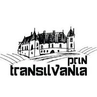 Prin Transilvania (@in_transilvania) 's Twitter Profile