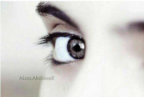 ‏وأكرم حياتي بحسن الختام
ودع لي على اﻷرض حسن اﻷثر
.
.
.
SH♡A