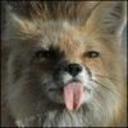 Brian Blackford - @RobAbrams9Wp - Twitter