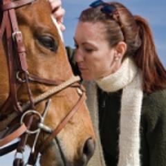 We design and manufacture unique, environmentally friendly skin care products for horses - we've even got testimonials from HOYS competitors!