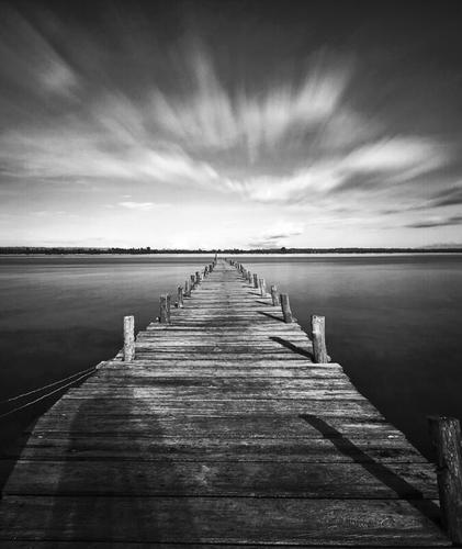 habney09's profile picture. I will never walk alone if people trust and love me :)