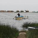 Rolando Quesada Espi - @ecoguardianess - Twitter