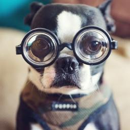 Funny tweets