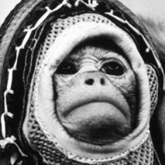 Pescao33's profile picture. 