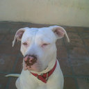 Ronnie Miranda  - @Ronniemiranda81 - Twitter