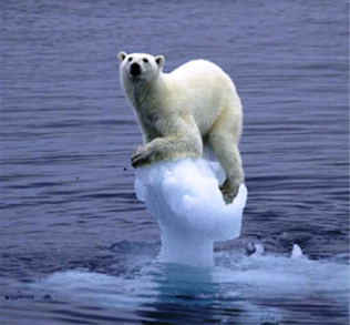 Stop global warming.