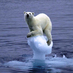 Global Warming (@climate_bill) Twitter profile photo Global Warming (@climate_bill) Twitter profile photo