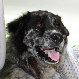 geogeek048's profile picture. 