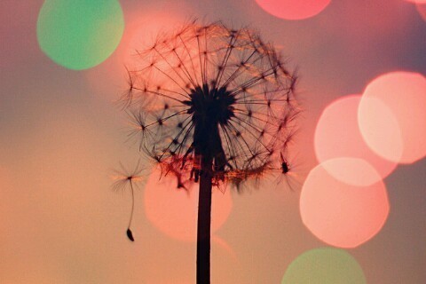 PayneRania's profile picture. 