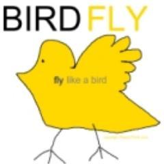 Fly like a bird with BirdFly