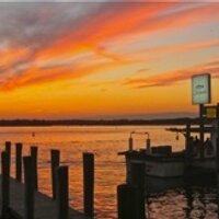 Carol Brighton (@twcurrent) Twitter profile photo