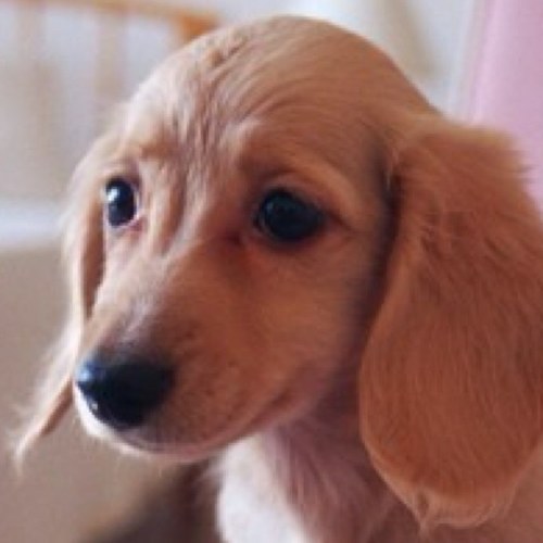 renatee69's profile picture. 