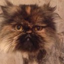 Cara Robinson - @caragolightly - Twitter