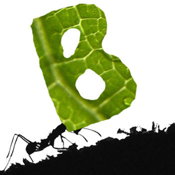 The UK's premier supplier of edible insects and bugs. #entomophagy #ediblebugs #edibleinsects #bushtucker #bugflour #eatingbugs
