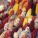 pedro mendiola - @pedroeltoro - Twitter