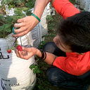 Kurniawan_Ricki (@22qhie) Twitter