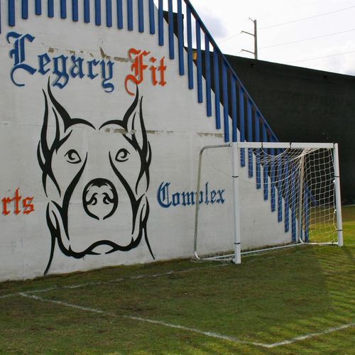Legacy Futbol- Natural grass, 5v5/6v6 soccer field in Wynwood/Midtown Miami.  77 NE 24 Street, Miami, Florida 33137