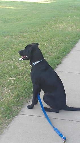 dougharden's profile picture. 