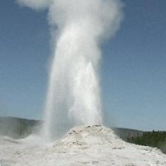 YNP_Geysers's profile picture. reports on conditions and activity of Yellowstone's Geysers, updated often. All times are in MST