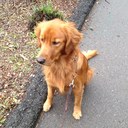 LibertyJunkie - @DocJohnGalt - Twitter