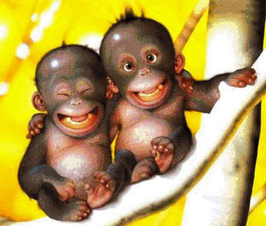 chita_mona's profile picture. 