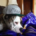 Curt Schroeder - @curt_schroeder - Twitter