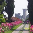 chiara ferrari - @chiara4ferrari - Twitter