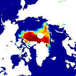 whalemodeler's profile picture. 