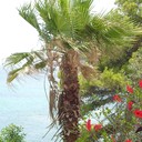 Bethany Hansen - @itsme_bethany - Twitter