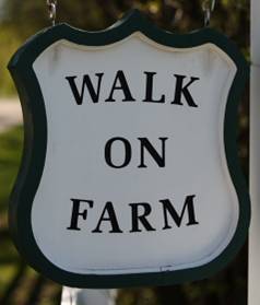 WalkOnFarm's profile picture. Walk On is a 501(c)3 that provides equine
assisted activities for children and adults with physical, cognitive, social and emotional disabilities.