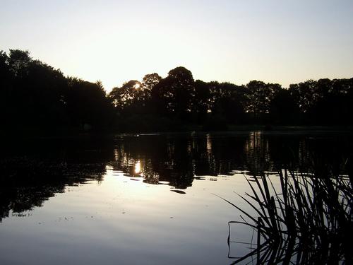 acton park community angling club, follow our news and events