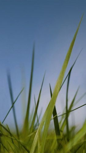 ElDjanie's profile picture. 