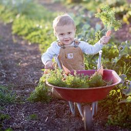 mel_cole's profile picture. documentary lifestyle & wedding photographer