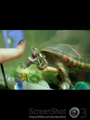 I like to swim.