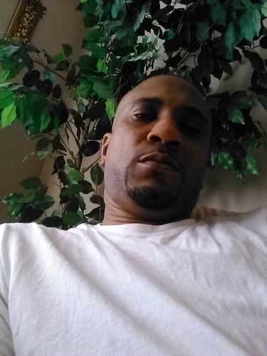EI220 Music Inc. #teamfollowback