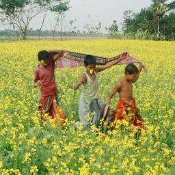 All About Bangladesh.