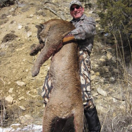 Husband, Dad (of 4), VP of Private Oil & Gas co, Traditional bowhunter for 25 years.
