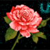 Faisal Hamzah Kimuli (@fhkimuli) Twitter profile photo Faisal Hamzah Kimuli (@fhkimuli) Twitter profile photo