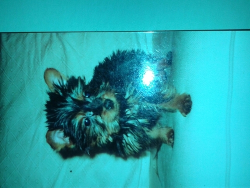 wilma18480403's profile picture. 