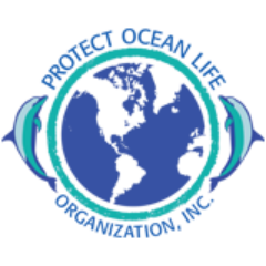 We are not-for-profit organization dedicated to help save our oceans and our planet in the process!